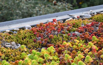 the cost of Tregatta green roof installation