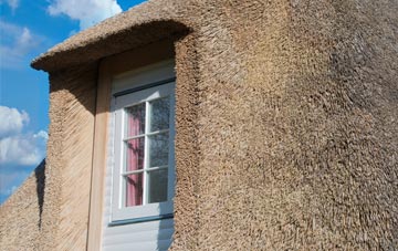 Tregatta thatch roof disadvantages