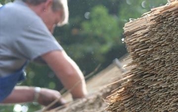 professional Tregatta thatchers