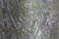 Tregatta fibreglass roof work